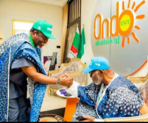 Read more about the article Ondo 2024: A Case for Ile-Oluji/Oke-Igbo Local Government